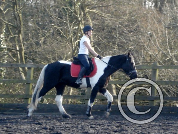 JD and Polly schooling (7)