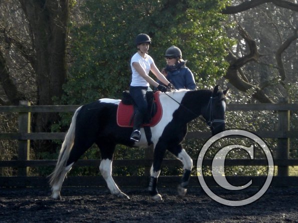 JD and Polly schooling (8)