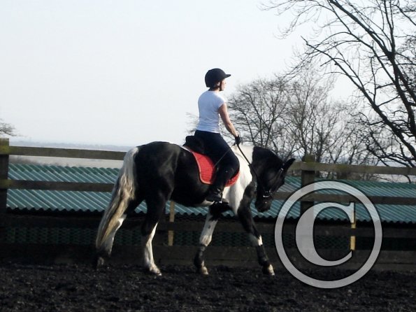 JD and Polly schooling (9)