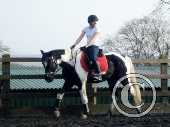 JD and Polly schooling
