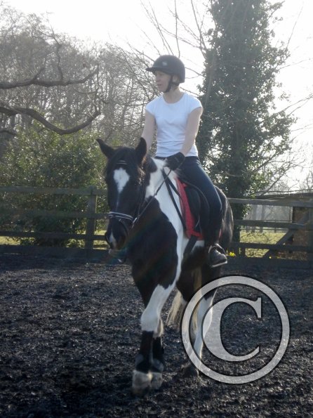 JD and Polly warming up (2)