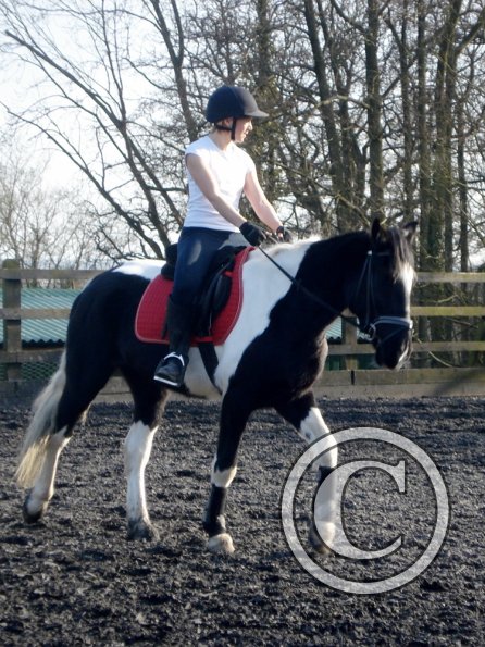 JD and Polly warming up (3)