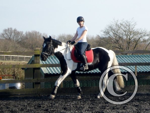 JD and Polly warming up (4)