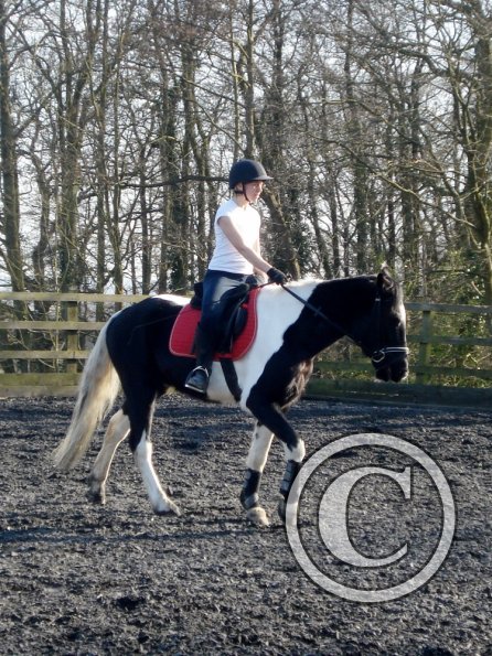 JD and Polly warming up (5)