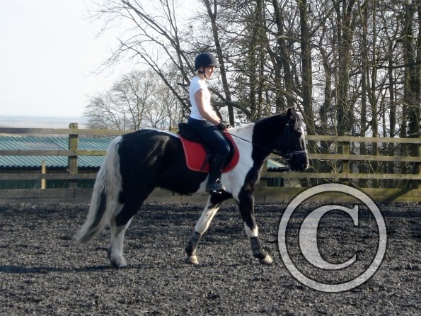 JD and Polly warming up (6)