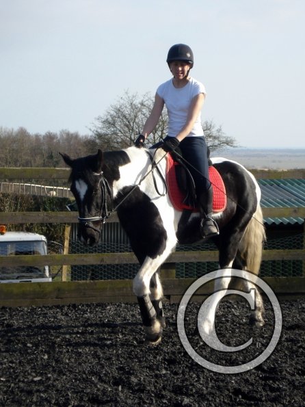 JD and Polly warming up (7)