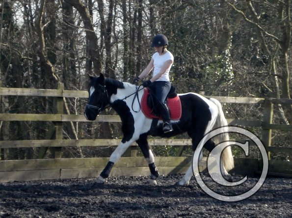 JD and Polly warming up (8)