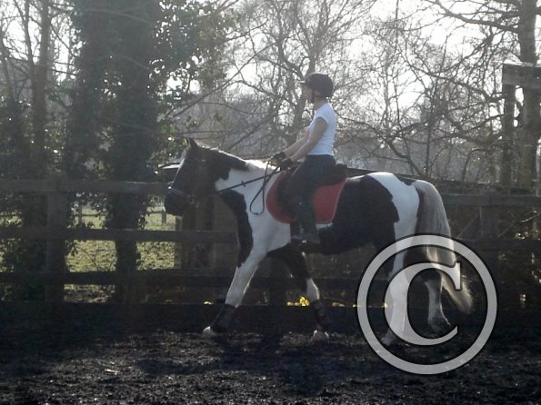 JD and Polly warming up