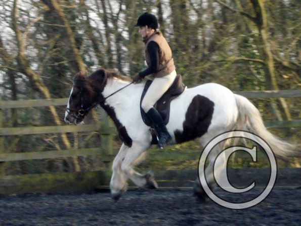 Lance and Anna canter (4)