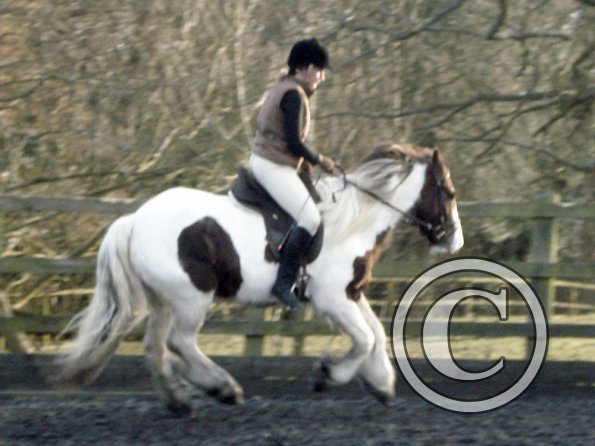 Lance and Anna canter (5)