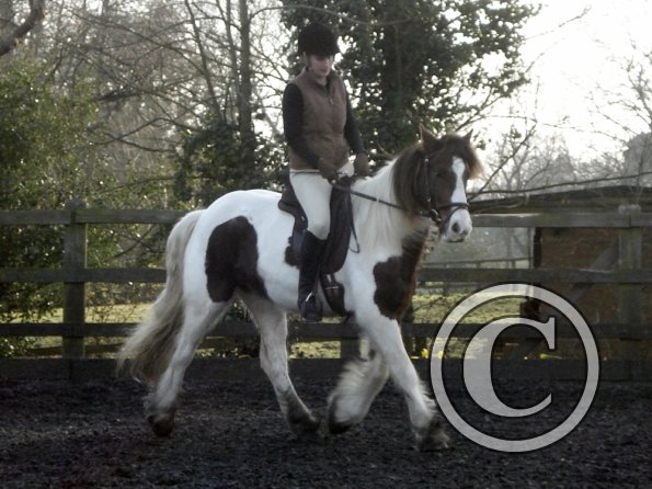 Lancelot and Anna schooling (10)