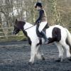Lancelot and Anna schooling (11)