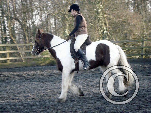 Lancelot and Anna schooling (11)