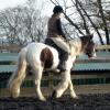 Lancelot and Anna schooling (12)