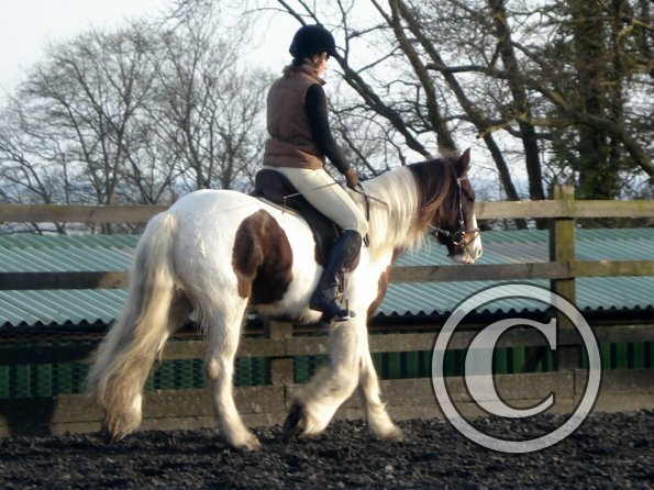 Lancelot and Anna schooling (12)