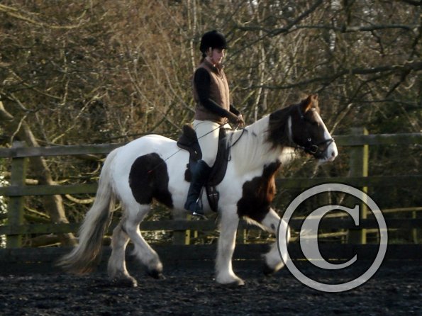 Lancelot and Anna schooling (13)