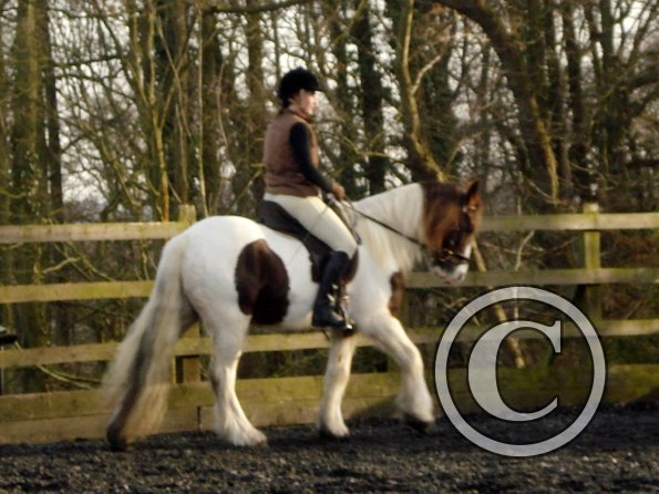 Lancelot and Anna schooling (17)