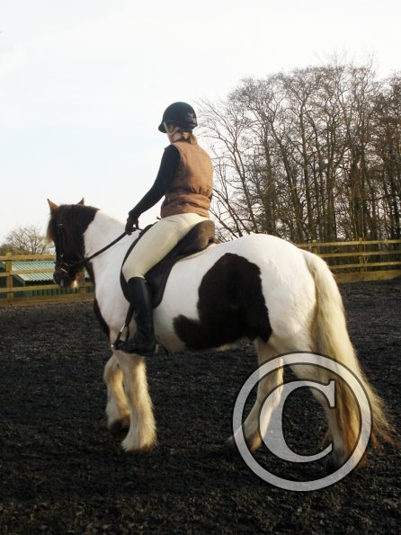 Lancelot and Anna schooling (18)