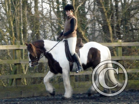 Lancelot and Anna schooling (4)