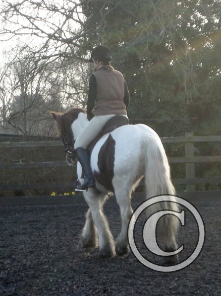 Lancelot and Anna schooling (5)