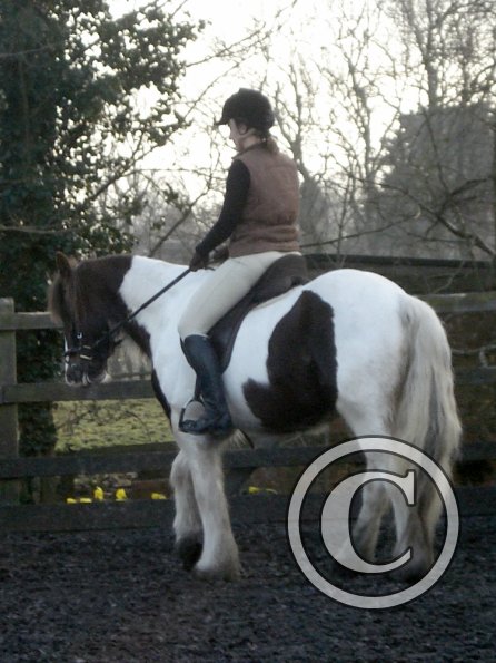 Lancelot and Anna schooling (6)