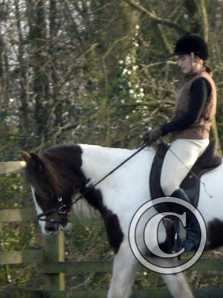Lancelot and Anna schooling (7)