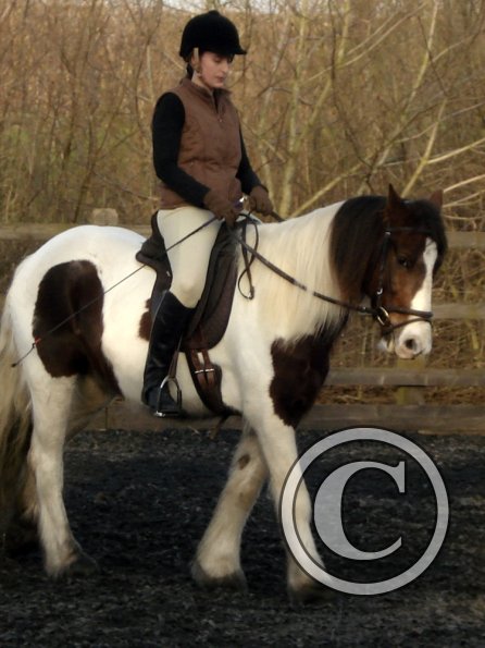 Lancelot and Anna schooling (8)