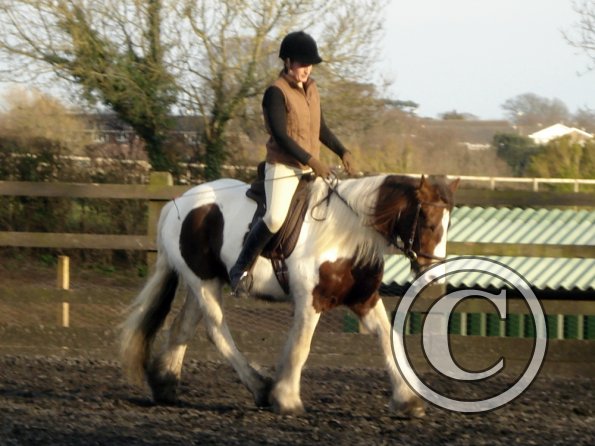 Lancelot and Anna schooling (9)