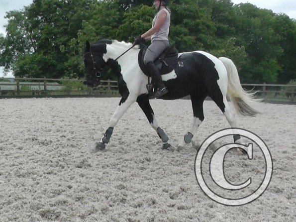 JD-Anna lesson with Penny (3)