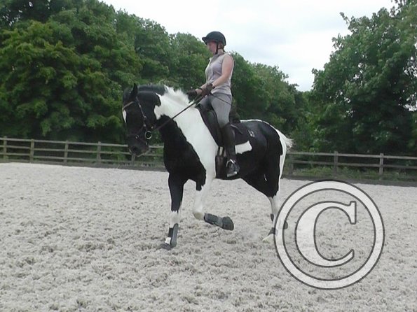 JD-Anna lesson with Penny (4)