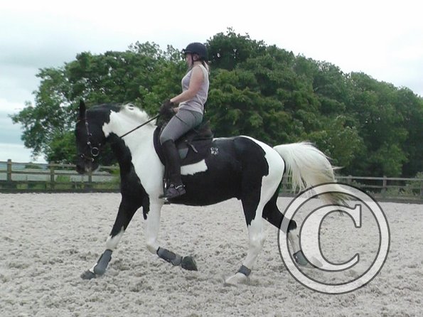 JD-Anna lesson with Penny (5)