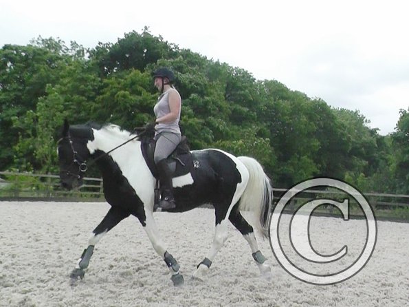 JD-Anna lesson with Penny (6)