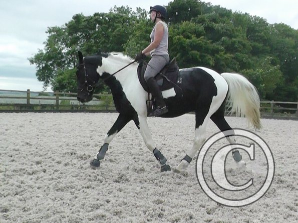 JD-Anna lesson with Penny (7)