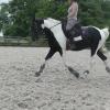 JD Dressage lesson