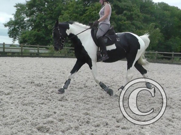 JD-Anna lesson with Penny