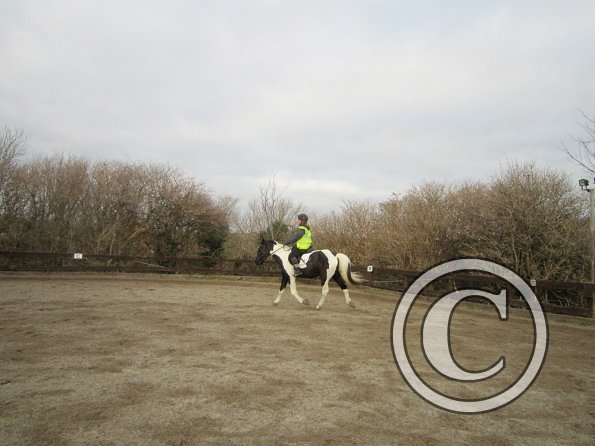 JAde lesson 1 Dec (7)