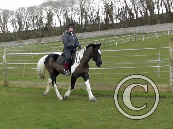 03-26-2014_130527(1)