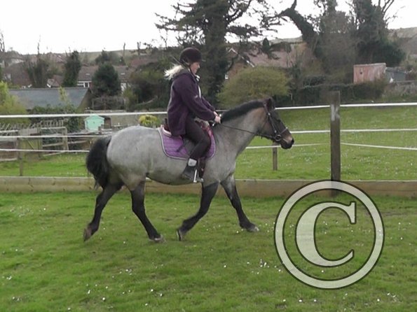 03-26-2014_131000(1)