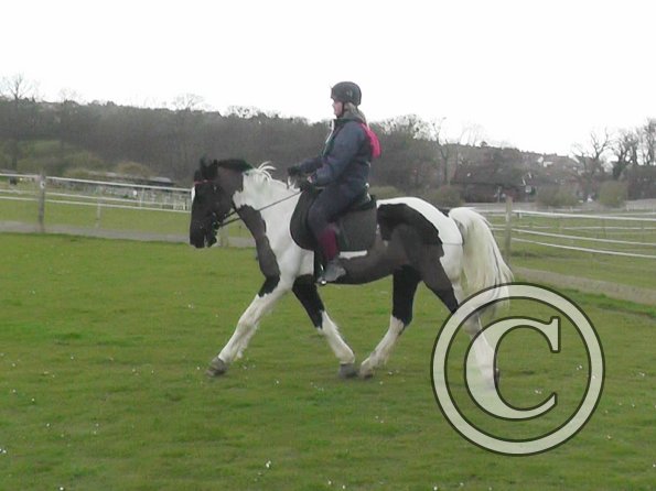 03-26-2014_131654(1)