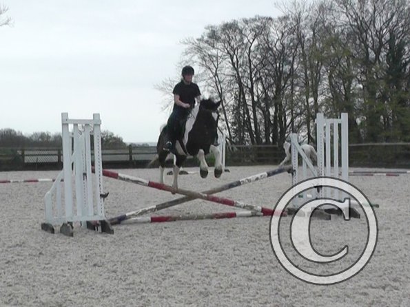 04-03-2014_120938(1)