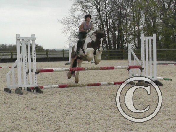 04-03-2014_121601(1)