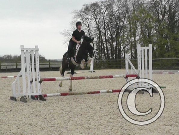 04-03-2014_121601(2)