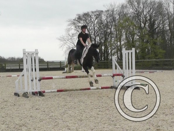 04-03-2014_121601(3)