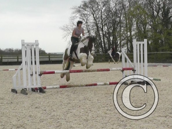 04-03-2014_121601(4)