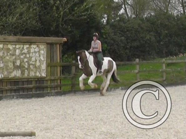 04-03-2014_123031(1)