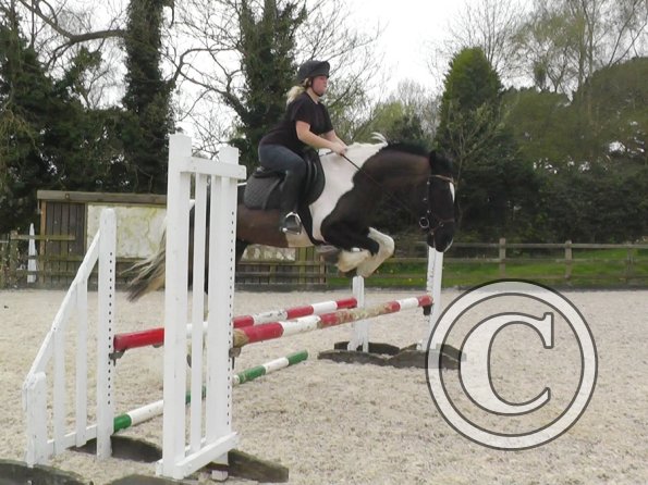 04-03-2014_123148(1)