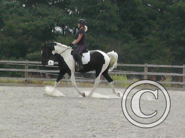 08-03-2015_084854(10)