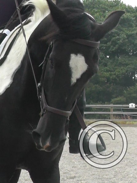 08-03-2015_084854(11)