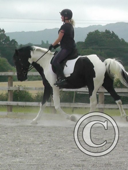 08-03-2015_084854(12)