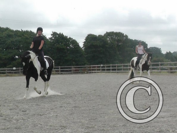 08-03-2015_084854(14)